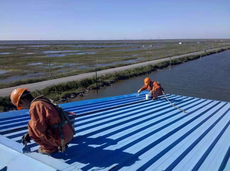 华龙钢结构屋面漏水原因